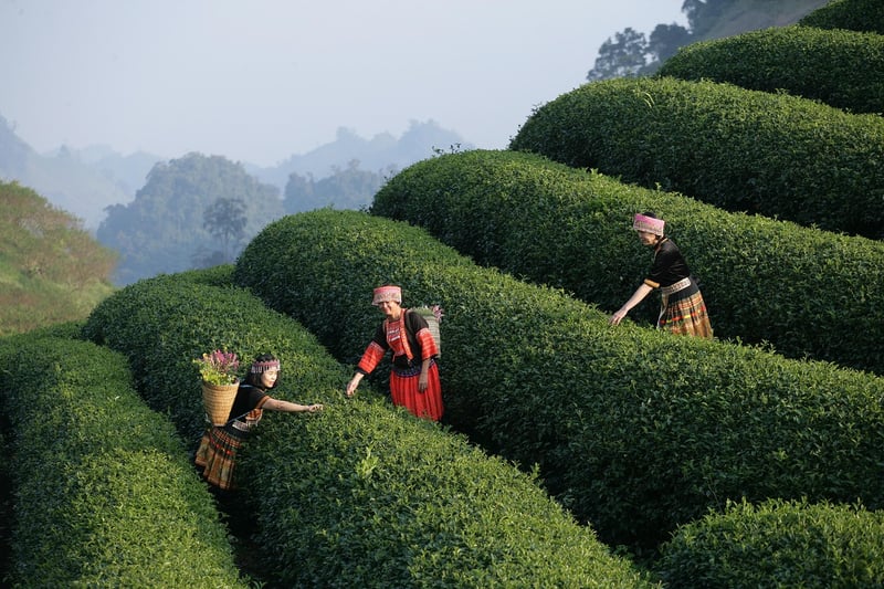 Sensory Dining Experience